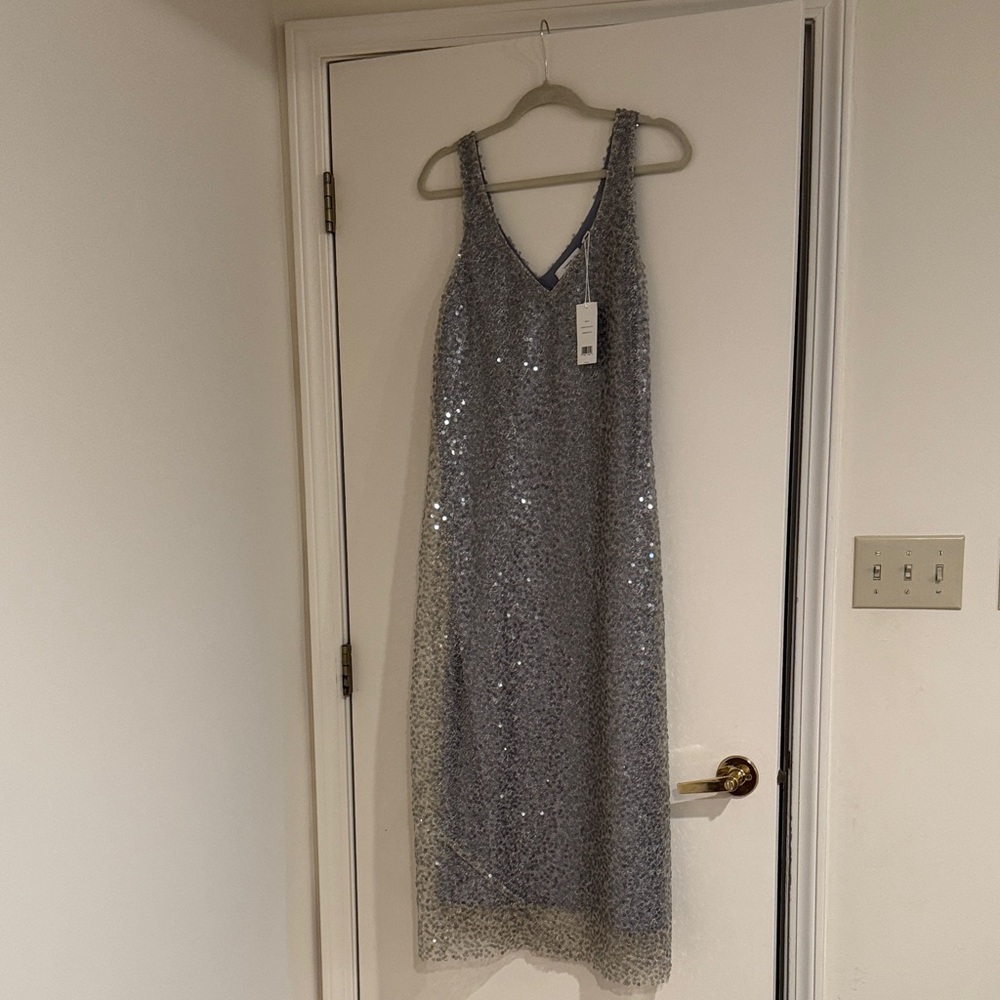 Elegant Silver Sequin Dress
